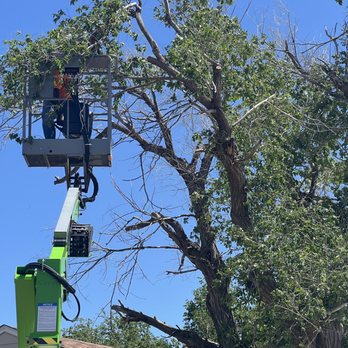 Family Tree Unlimited - Working with major equipment to make safe cuts!!! - Tree Services Near Me Family Tree Unlimited - Working with major equipment to make safe cuts!!! - Tree Services Near Me