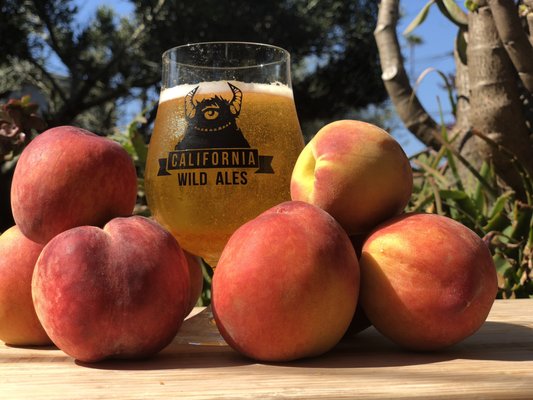 California Wild Ales by null
