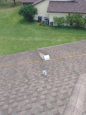 Elite Roof Cleaning