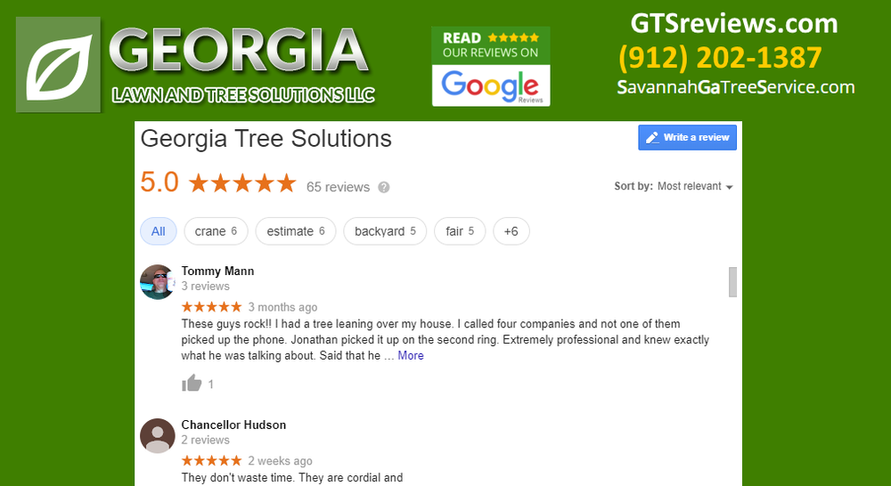 Georgia Tree Solutions Group - tree service in Savannah, GA