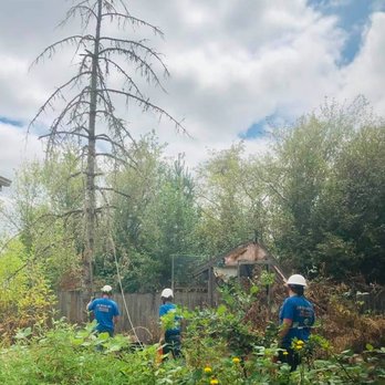 Lovejoy Contract Climbing - Tree Services Near Me