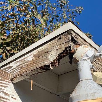 Premier Pest Control - DRY ROT - Pest Control Near Me Premier Pest Control - DRY ROT - Pest Control Near Me