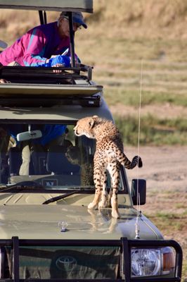 Natural Habitat Adventures by null