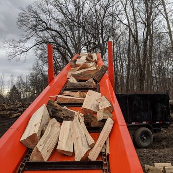 J's Tree Trimming & Removal - FIREWOOD! - Tree Services Near Me - Ann Arbor, Michigan J's Tree Trimming & Removal - FIREWOOD! - Tree Services Near Me - Ann Arbor, Michigan