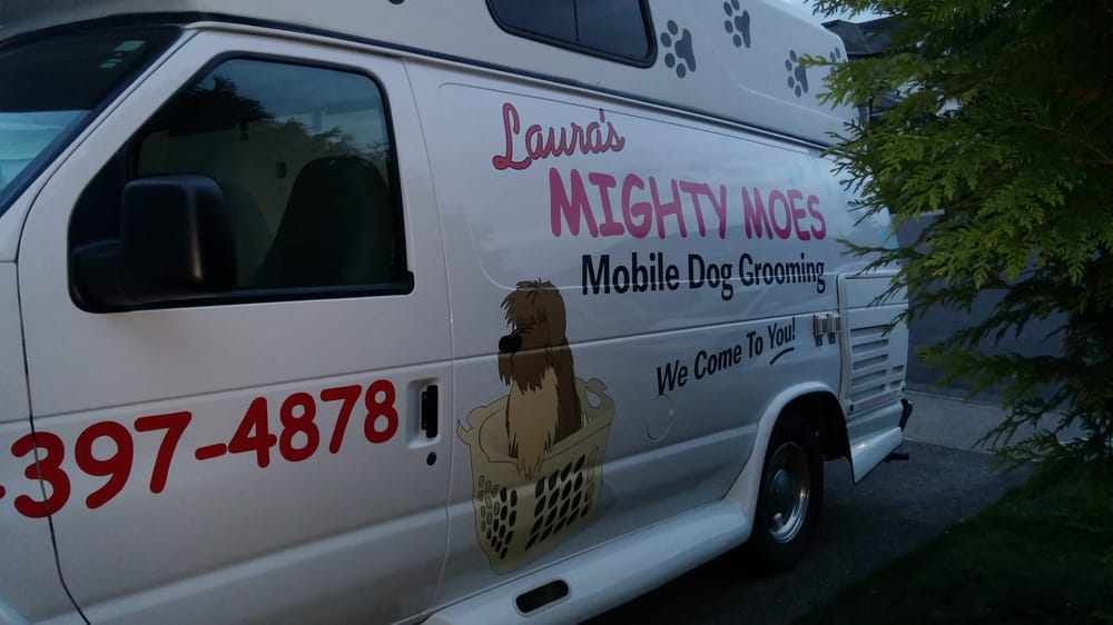 MIGHTY MOE’S MOBILE GROOMING Updated August 2024 21 Photos & 12