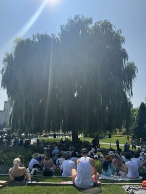 Toronto Music Garden by null