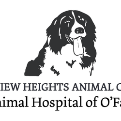 Animal Hospital of O'Fallon