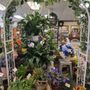 Woodward's Floral
