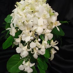 New Leaf Floral - Orchid Bridal Bouquet