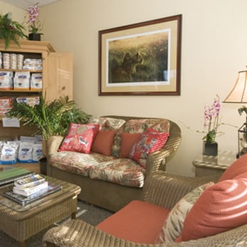 Cat Care Clinic - Veterinarians Near Me - Bellevue, Washington Cat Care Clinic - Veterinarians Near Me - Bellevue, Washington