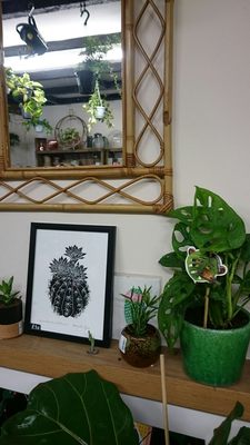 Botanic by null