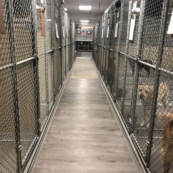 sandy pines boarding kennel inc