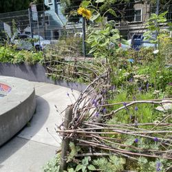 Hayes Valley Playground
