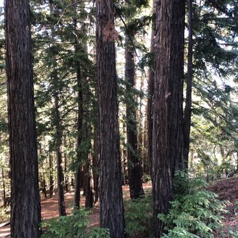 Huddart County Park - Parks Near Me - Woodside, California Huddart County Park - Parks Near Me - Woodside, California