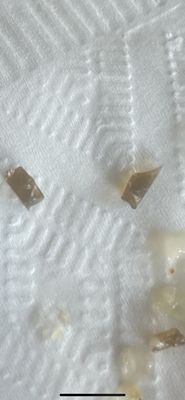 Pluckers Wing Bar by null