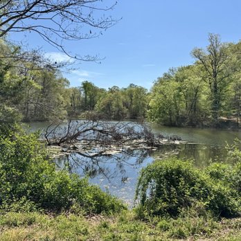Bassett Trace Nature Trail - Hiking Near Me - Williamsburg, Virginia