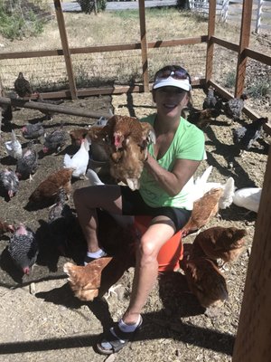 Summit Feed & Pet Supply