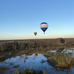 Balloons & Beyond