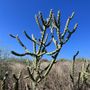 Photo of Crafton Hills Ridge Trail