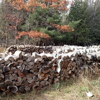 Wade Logging - Wade Logging - Tree Services Near Me - Fife Lake, Michigan Wade Logging - Wade Logging - Tree Services Near Me - Fife Lake, Michigan