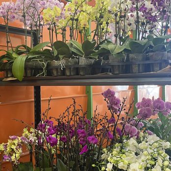 Carol’s Garden - Flowers - Florists Near Me - Rowland Heights, California