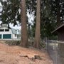 Photo of Monaghan Tree Service