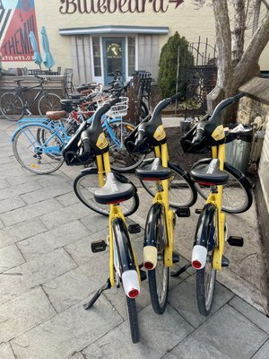 The Indianapolis Cultural Trail by null