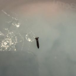 This was in her açaí bowl This was in her açaí bowl