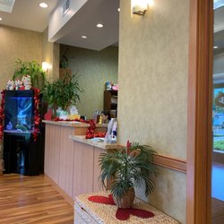 David E Lum, DDS - Waiting room William Lum DDS. Busy. Good sign?