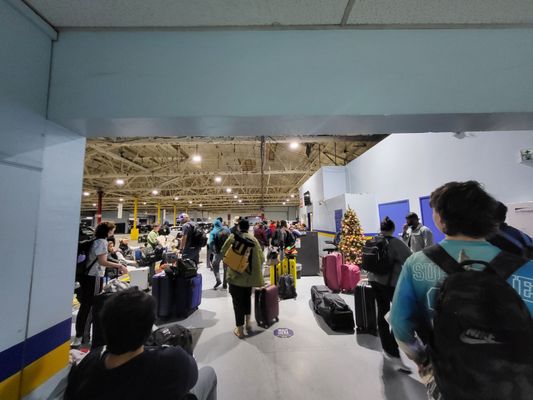 Fox Rent A Car Los Angeles by null