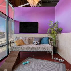 LV Dog Resort - Royal suite