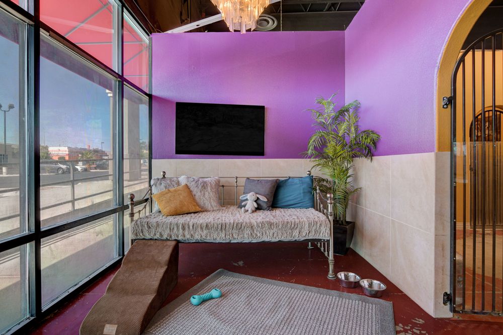 LV Dog Hotel, Las Vegas