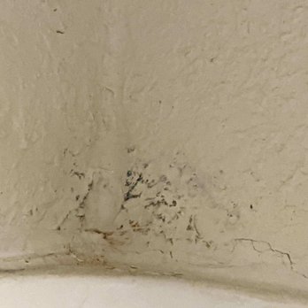 Quality Inn Centralia Chehalis - Mold in the bathroom tub/shower. - Hotels Near Me - Centralia, Washington Quality Inn Centralia Chehalis - Mold in the bathroom tub/shower. - Hotels Near Me - Centralia, Washington