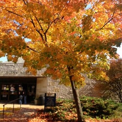 Trinity International University