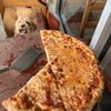 Conca DOro Pizza & Pasta gift card