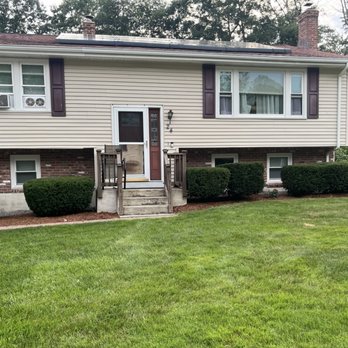 Green Arbor Tree - Tree Services Near Me Green Arbor Tree - Tree Services Near Me
