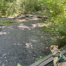 River River