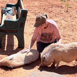 Best Friends Animal Society - Albino Pigs Get A Special Skin Treatment