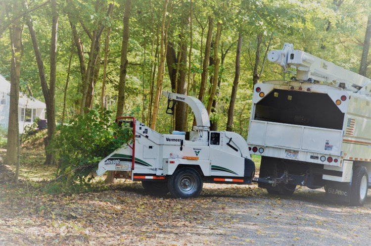 Hoffman Expert Tree services - tree service in Columbus, OH