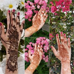 Meghna Shah - Henna Artist - Party Henna