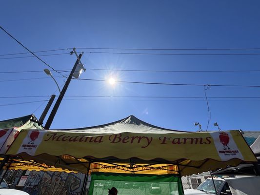 West Oakland Farmers Market by null
