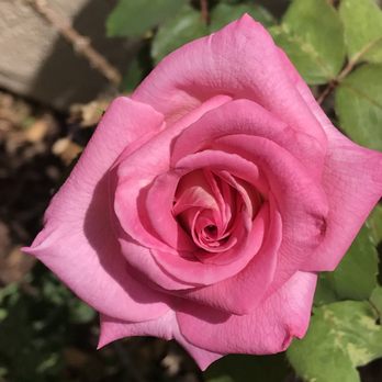 Hands On Hydroponics Closed 21 Photos Hydroponics 311 Airport Rd Oceanside Ca Phone Number Yelp