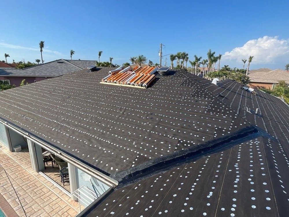 Slide of Tomas Roofer