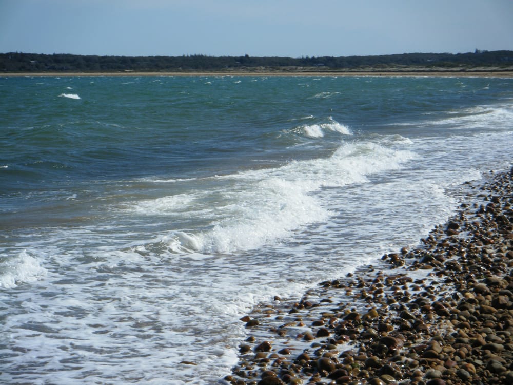 Lobsterville Beach Logo