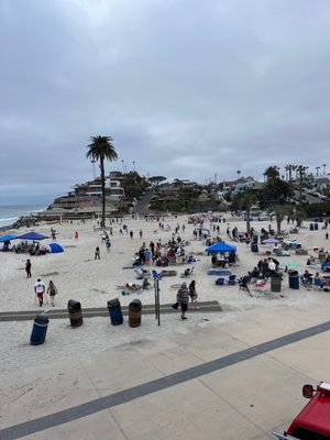 Moonlight State Beach by null
