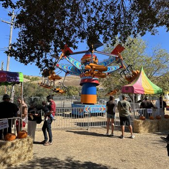 Classic Pumpkin Patch & Trees - Carnival rides - Pumpkin Patches Near Me - Castro Valley, California Classic Pumpkin Patch & Trees - Carnival rides - Pumpkin Patches Near Me - Castro Valley, California