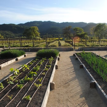 Brix - New American Near Me - Napa, California