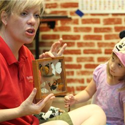 Petits Amigos Language Immersion & Gymnastics Preschool