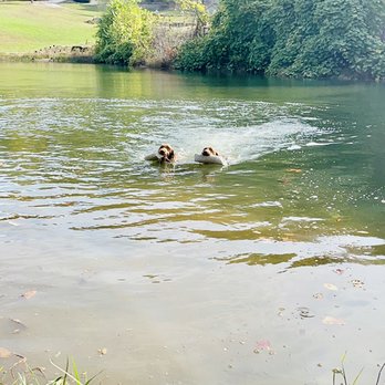 Cave Canis Kennels - Waterwork - Pet Training Near Me Cave Canis Kennels - Waterwork - Pet Training Near Me