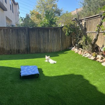 Big Bully Turf - After - Artificial Turf Near Me - San Diego, California Big Bully Turf - After - Artificial Turf Near Me - San Diego, California
